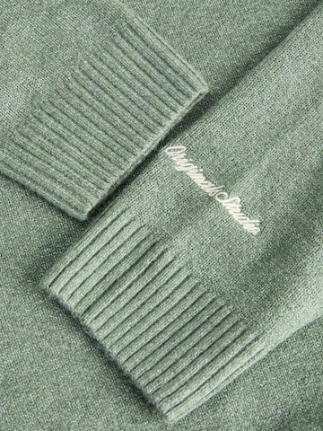 Jack & Jones Plus Pullover i grøn