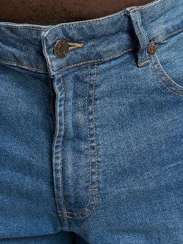 Denim Project Regularen Kavbojke | modra barva