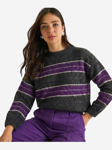 Pull-over 'Pullover' Bianco Lucci en violet : devant