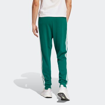 ADIDAS SPORTSWEAR Zúžený Sportovní kalhoty – zelená