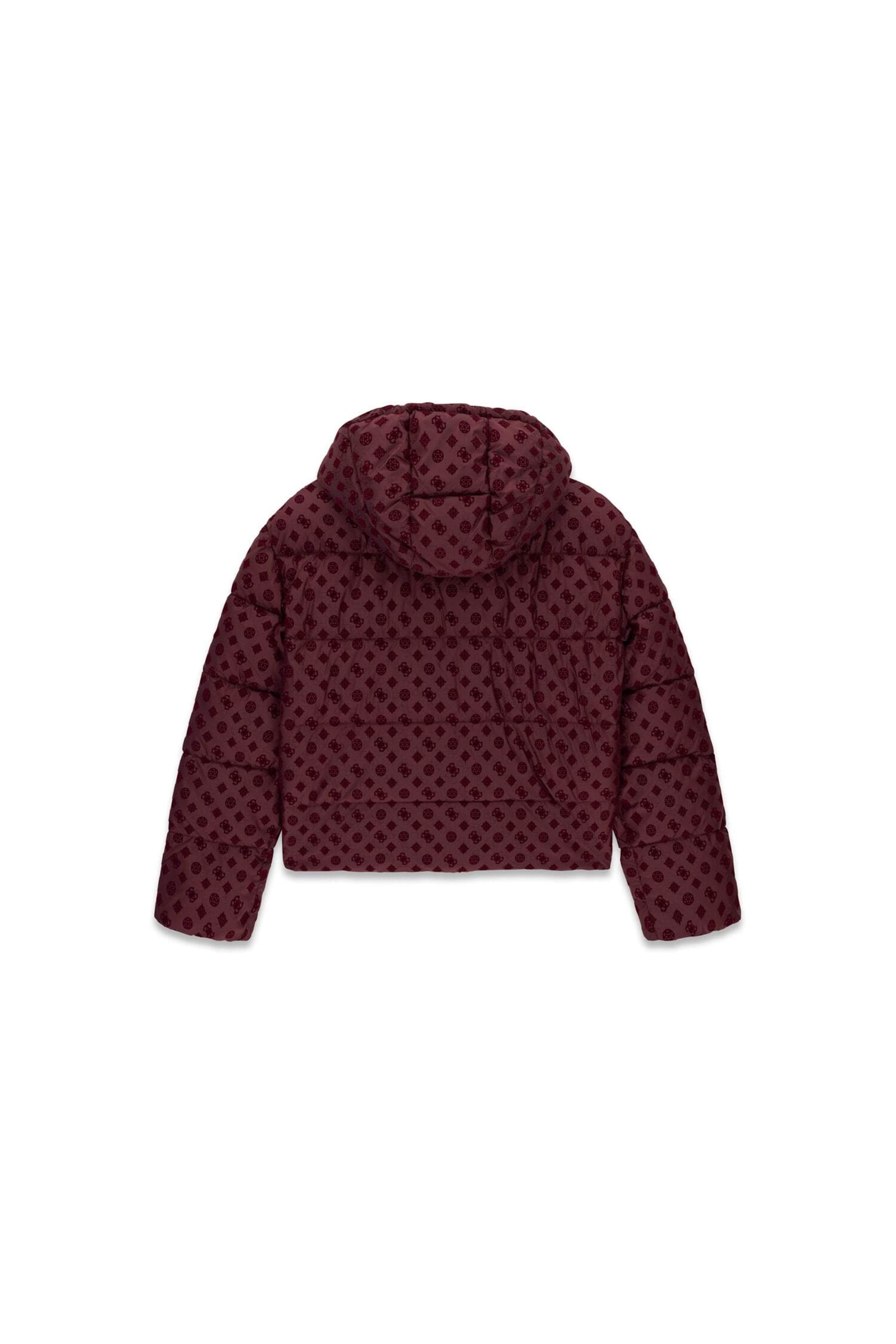 GUESS Winter Jacket in Brown