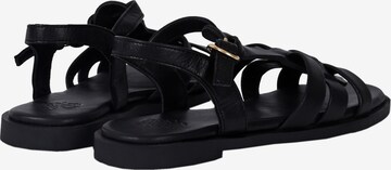 Apple of Eden Sandalen met riem in Zwart