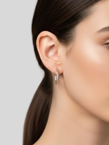 Maxte Earrings in Silver: front