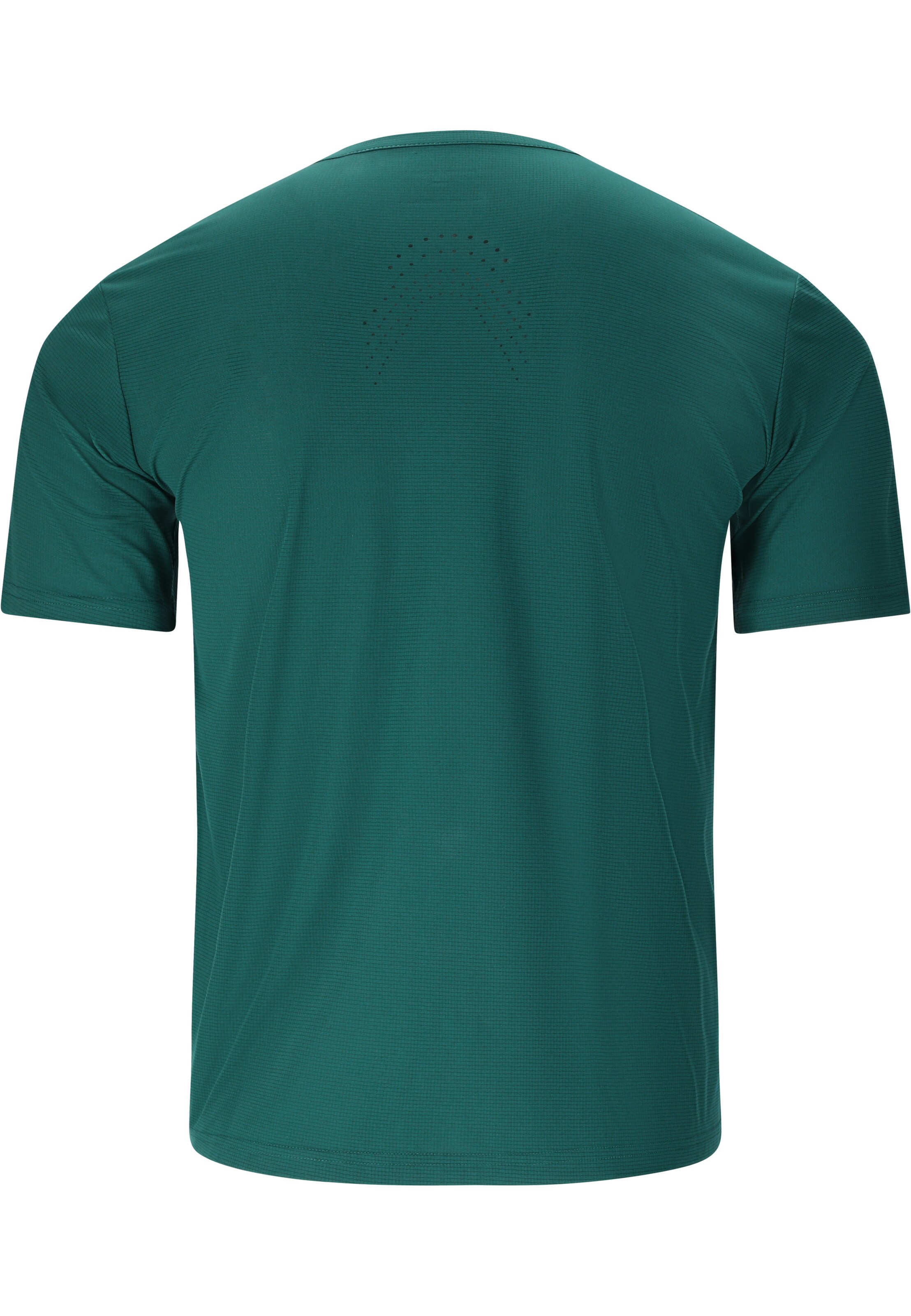 ENDURANCE Performance shirt 'Earriba' in Green