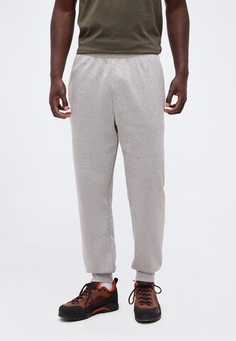 Tapered Pantaloni 'EVOLUTION SIMPLE DOME' di THE NORTH FACE in grigio: frontale