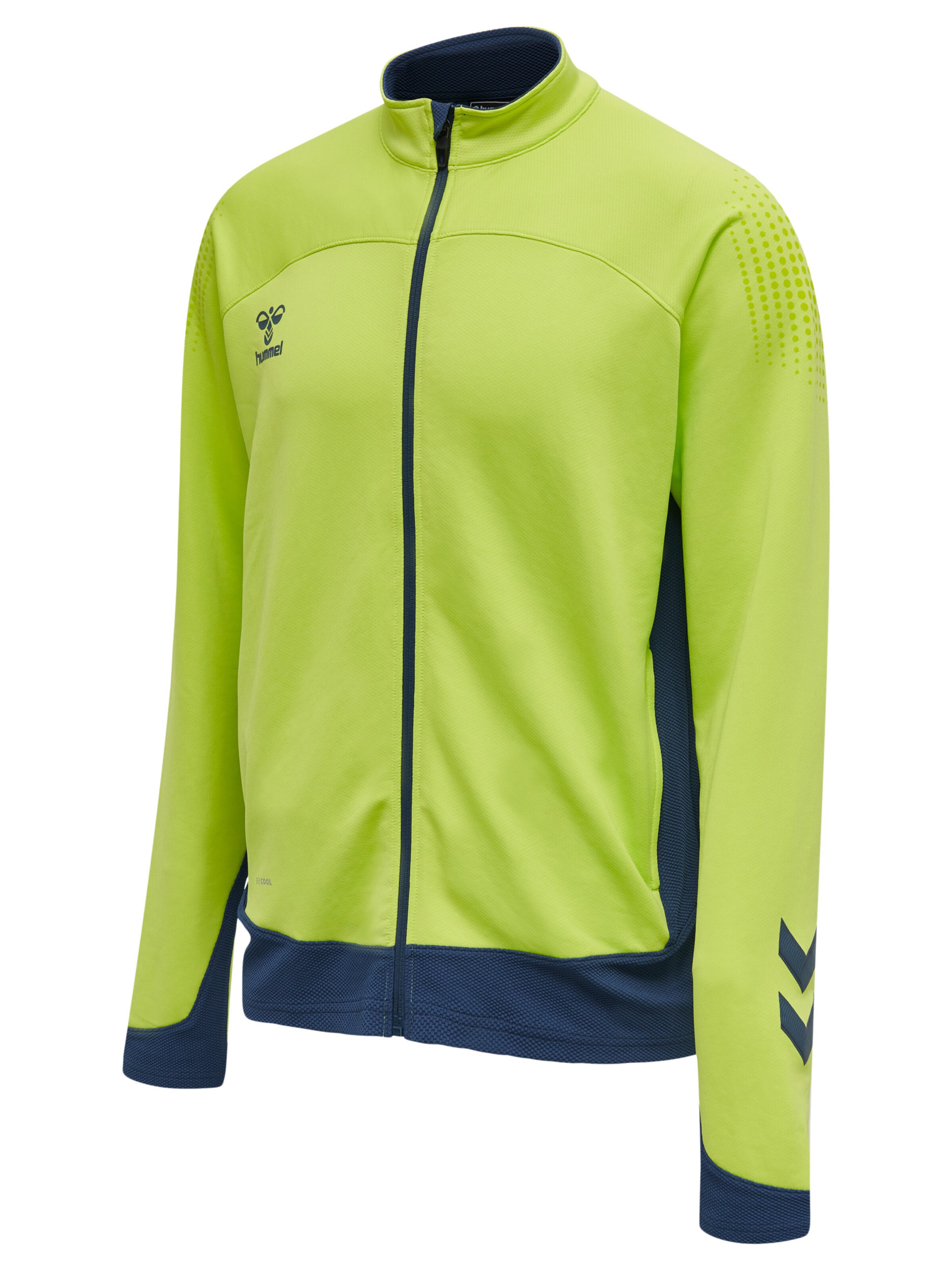Hummel Athletic Zip-Up Hoodie 'Lead' in Green