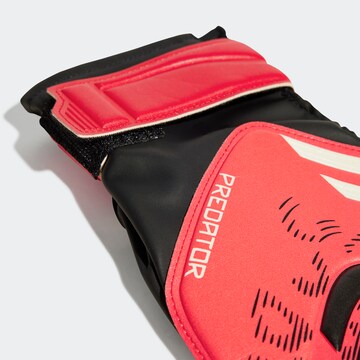 ADIDAS PERFORMANCE Sporthandschoenen 'Predator' in Zwart