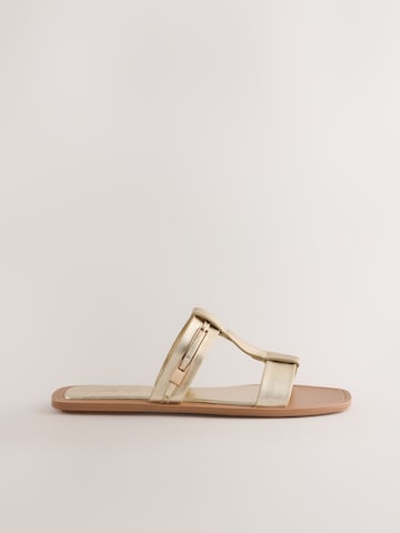 Mule Next en or