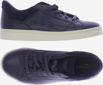 ESPRIT Sneakers & Trainers in 36,5 in Blue: front