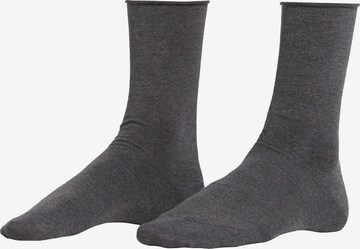 CALZEDONIA Socks in Grey: front