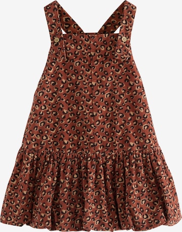Next Dress in Brown: front