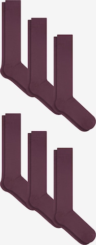 Albero Natur Knee High Socks in Red: front