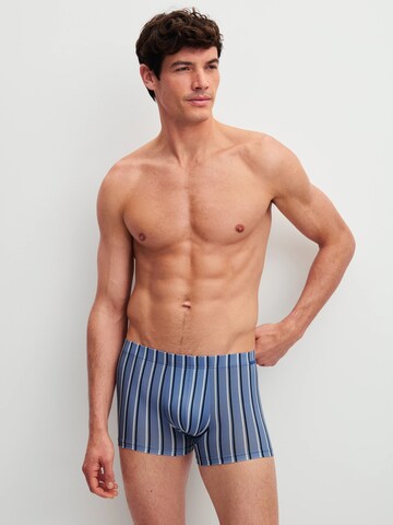 CALIDA Boxer shorts 'Grafic Cotton' in Blue