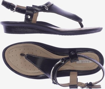 GEOX Sandalen 35 in Schwarz: predná strana