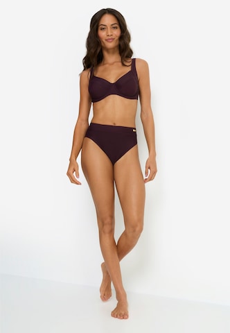 LASCANA Bikinibroek 'Lolo' in Lila