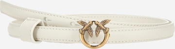PINKO Gürtel in Weiß: Vorderseite