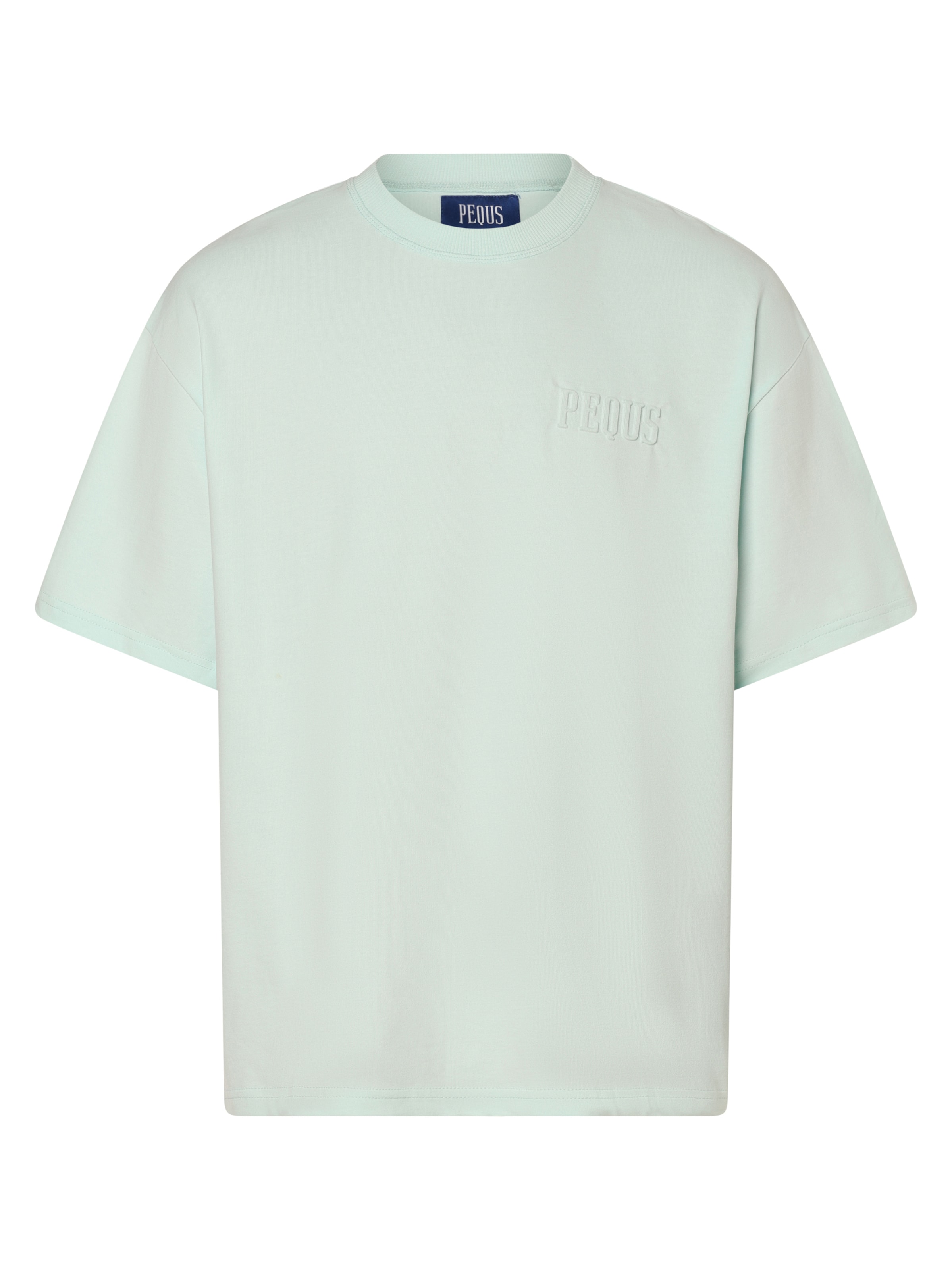 Pequs Shirt in Blue: front