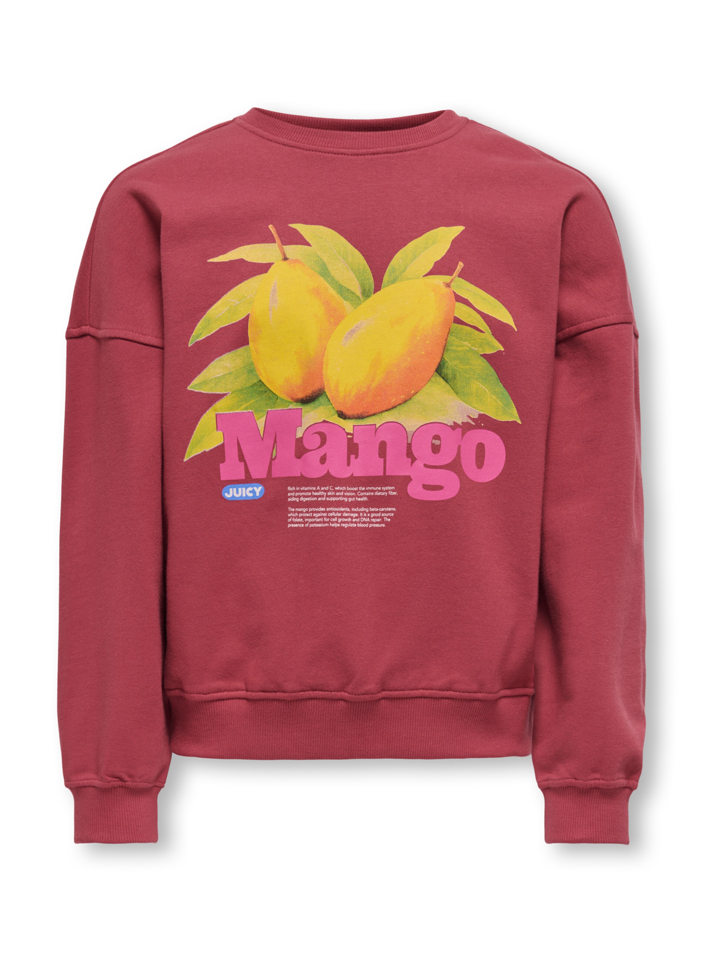 Bluză de molton 'KOGPhilea' de la ONLY GIRLS pe roșu: față