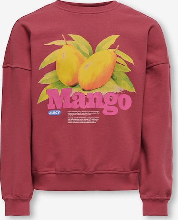 ONLY GIRLS Sweatshirt 'KOGPhilea' in Red: front