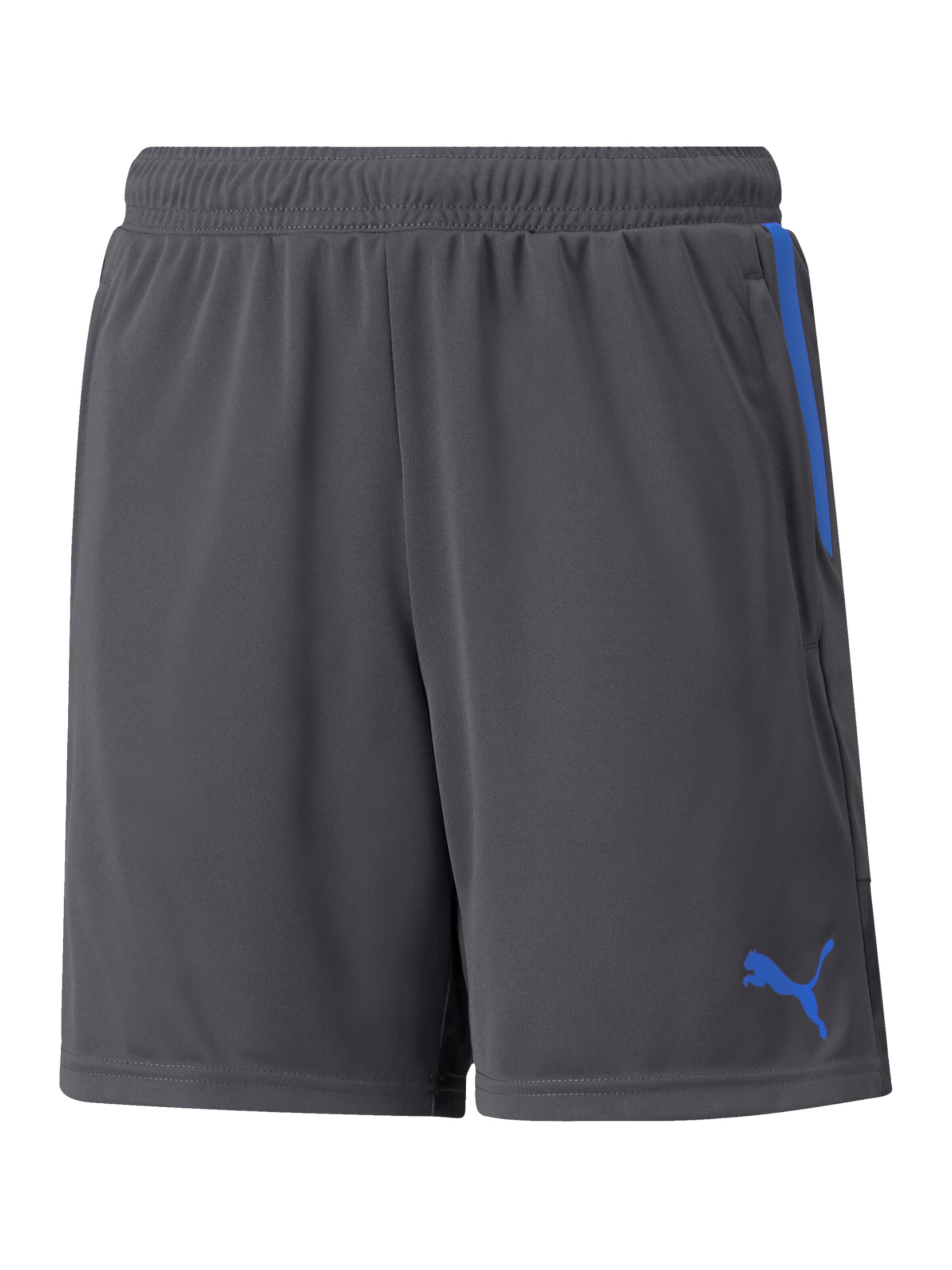 PUMA Workout Pants in Grey: front