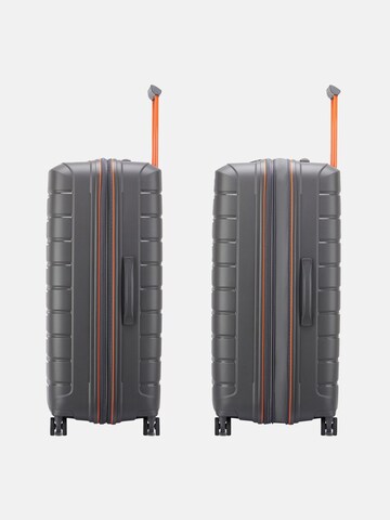 Valisette 'B-Flying' Roncato en gris