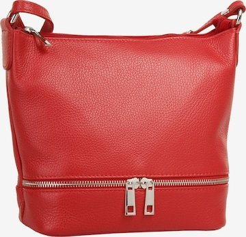 Cluty Crossbody Bag in Red: front