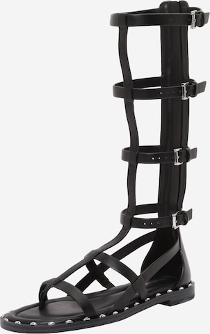 MICHAEL Michael Kors Remmisandaalit 'NOA' värissä musta: etupuoli