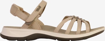 Sandales TEVA en beige : devant
