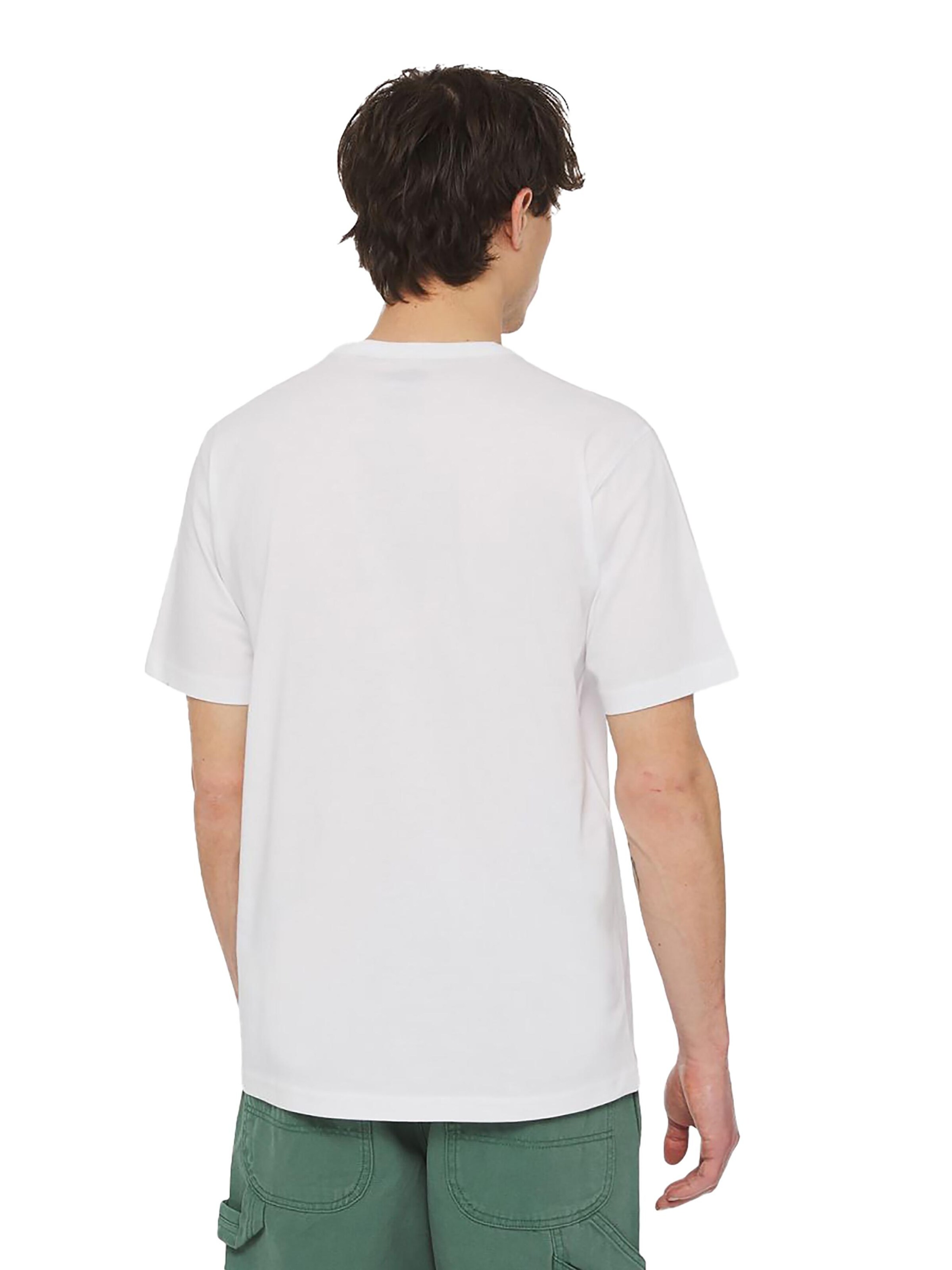 DICKIES Shirt 'Aitkin' in White