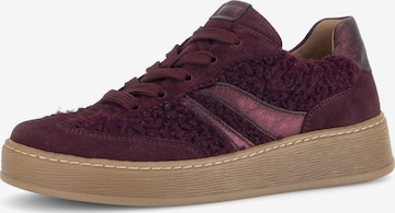 GABOR Sneakers laag in Rood: voorkant