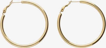 My Jewellery Earrings in Gold: front