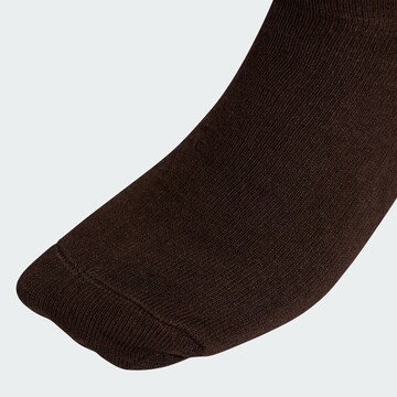 ADIDAS ORIGINALS Socks in Brown