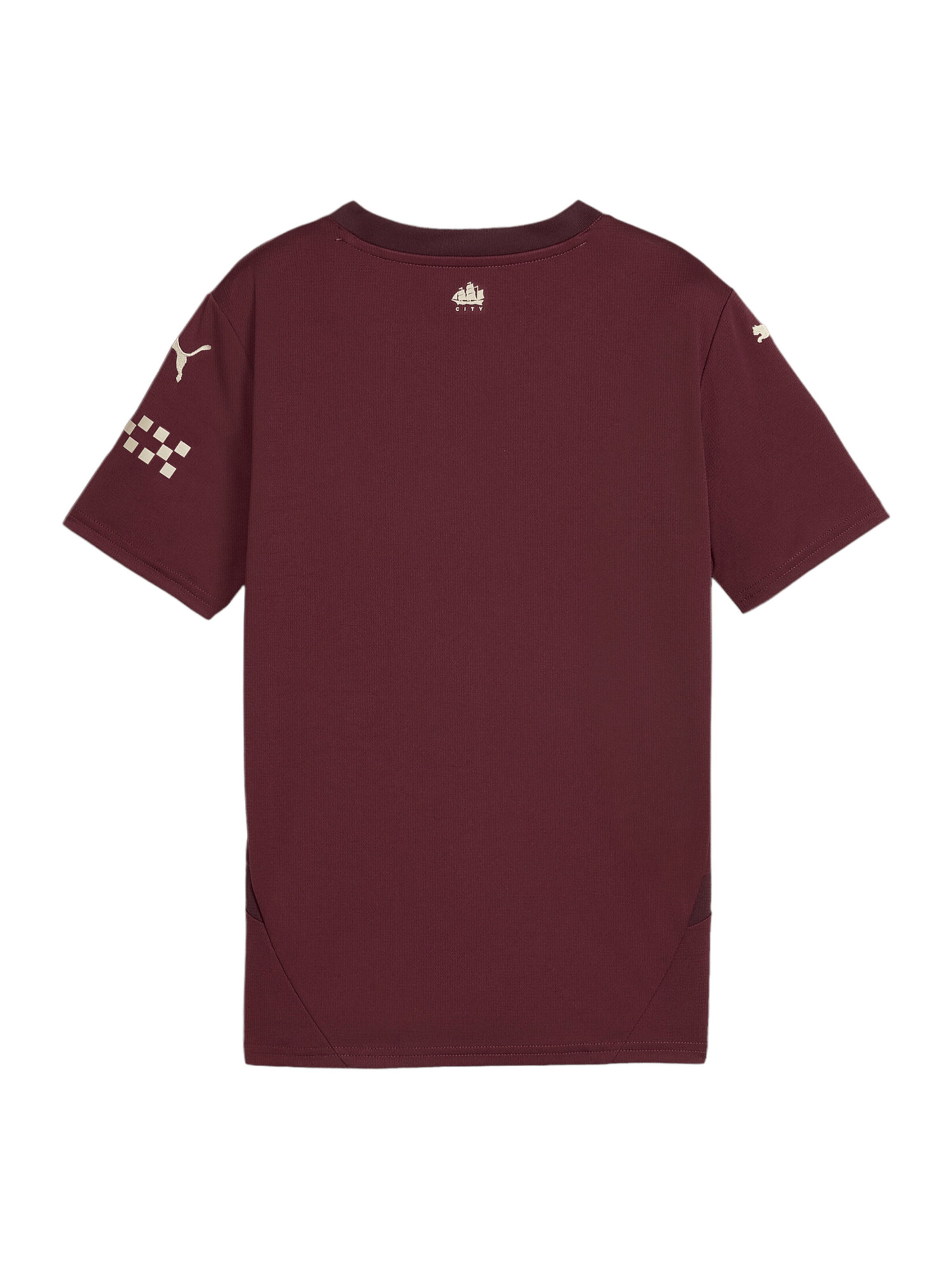 PUMA Functioneel shirt 'Manchester City 24/25' in Rood