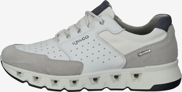 IGI&CO Sneakers in Grey