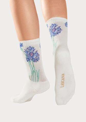 LASCANA Socks in White