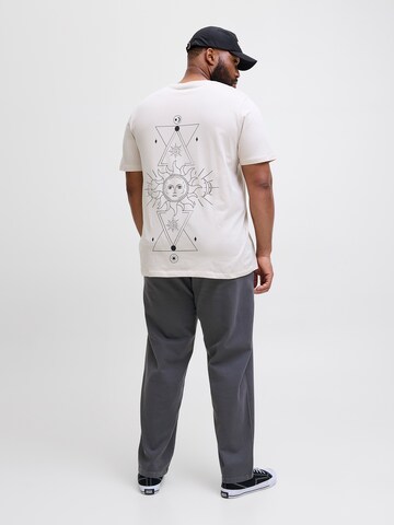 Jack & Jones Plus Свободный крой Брюки-чинос 'JPSTKANE' в Серый