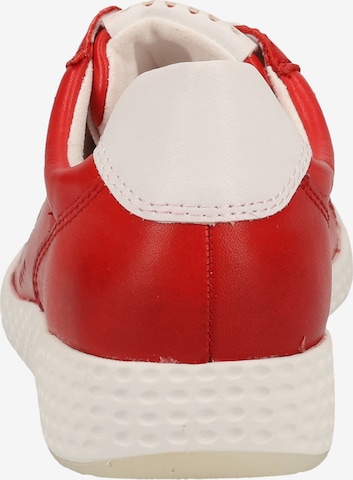 MARCO TOZZI Sneakers in Red