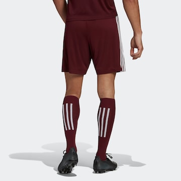 regular Pantaloni sportivi 'Squadra 21' di ADIDAS SPORTSWEAR in rosso