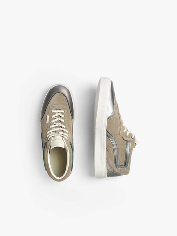 Sneaker bassa di Scalpers in marrone