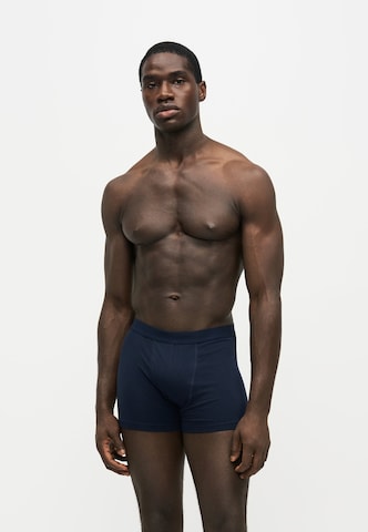ABOUT YOU Boxer shorts 'Falk' in Blue: front