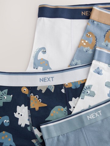 Pantaloncini intimi di Next in colori misti
