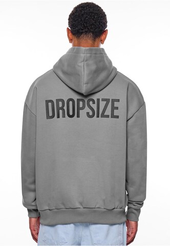 Dropsize Sweatshirt in Grey