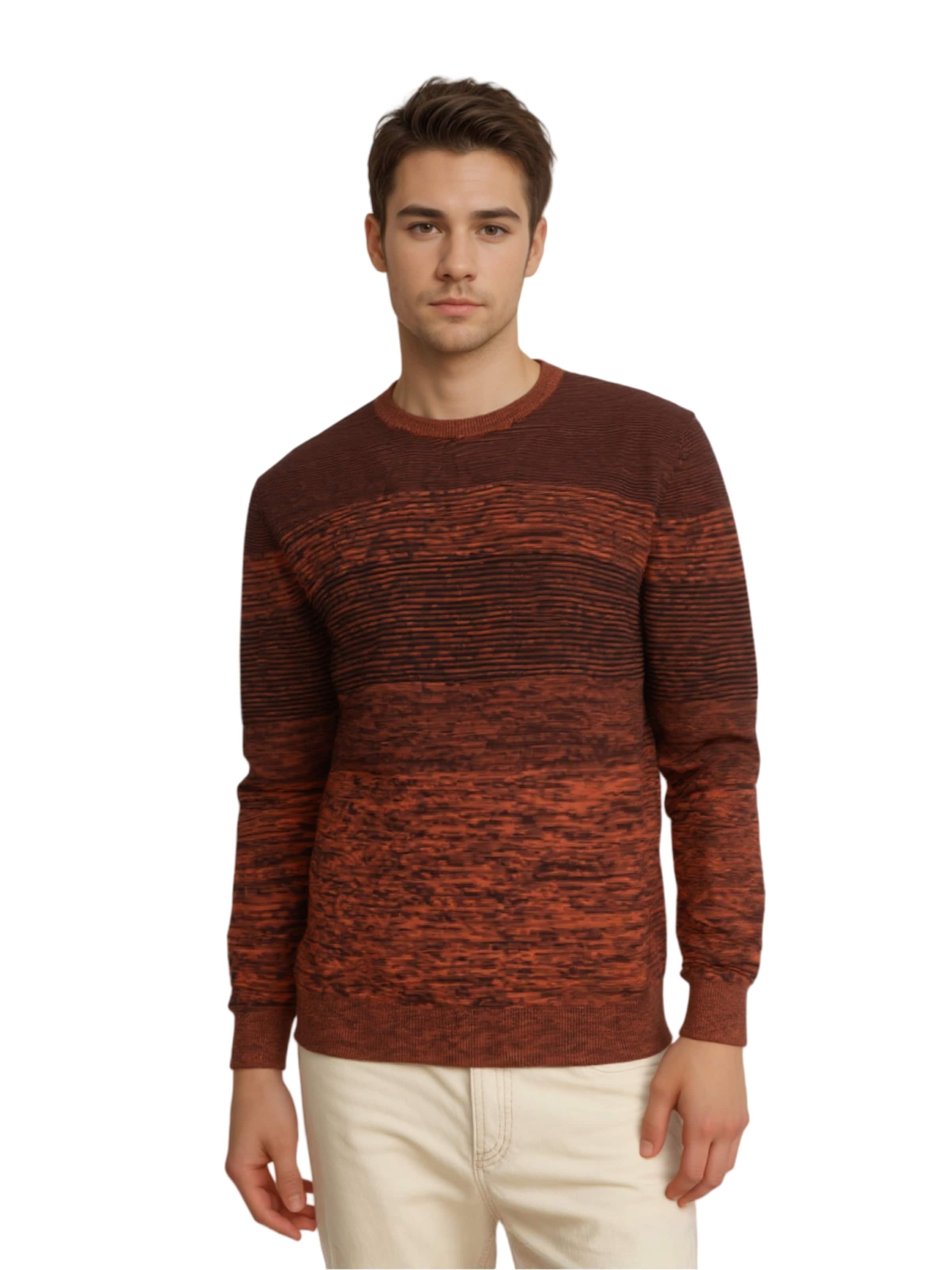 HAJO Sweater in Brown: front