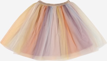 The New Skirt 'FIESTA' in Mixed colors: front