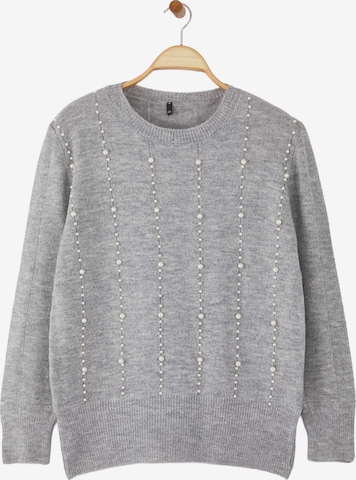 Pull-over Trendyol Curve en gris : devant