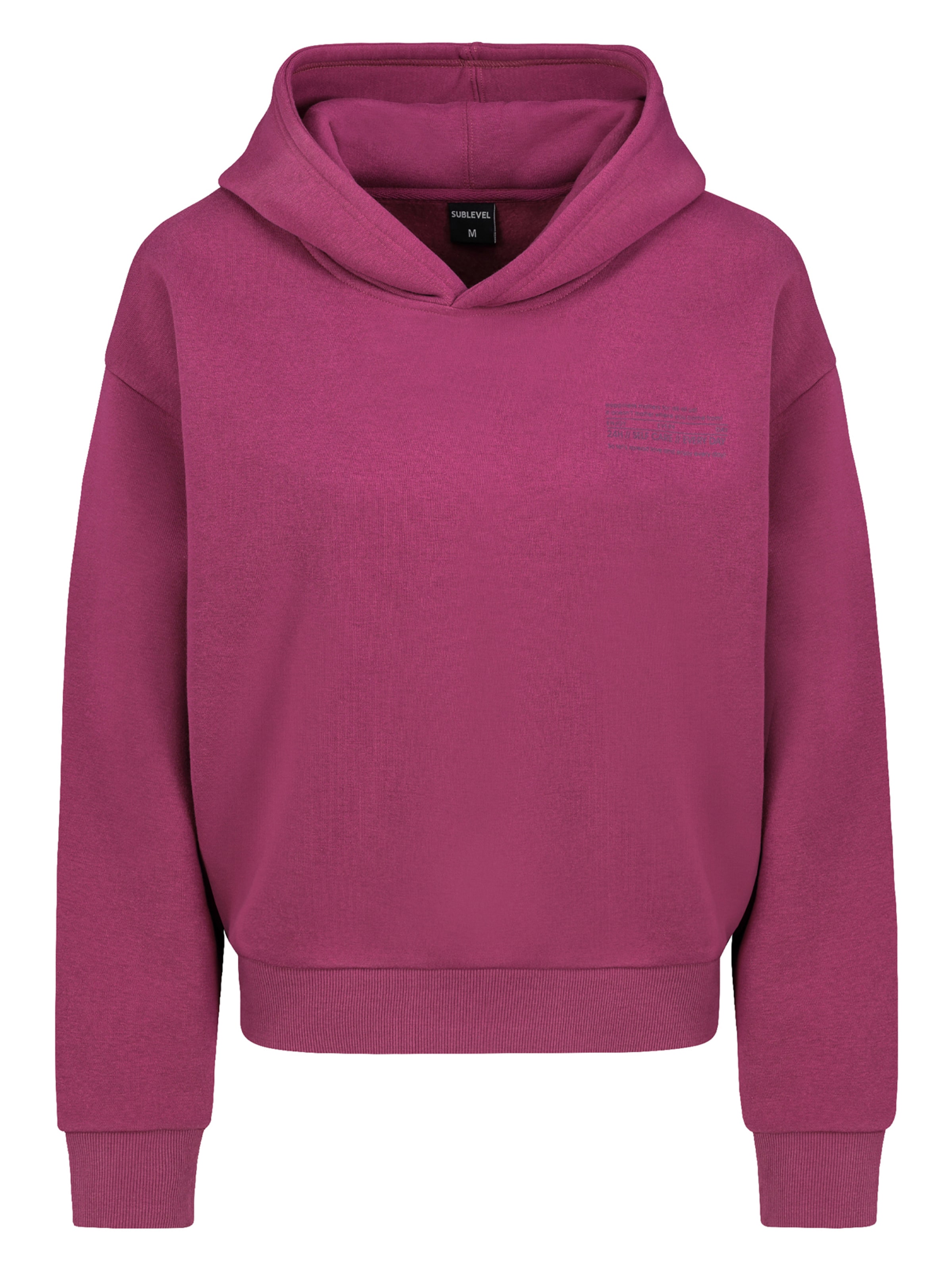 Sublevel Sweatshirt in taubenblau / magenta, Produktansicht