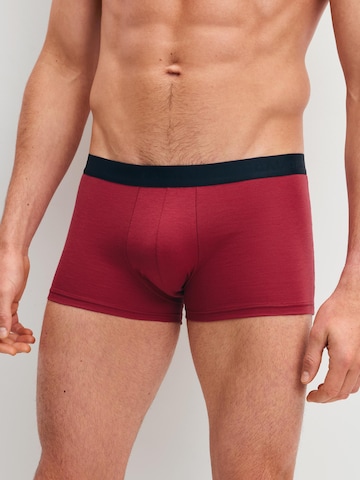 Boxers 'Cotton Special' CALIDA en mélange de couleurs