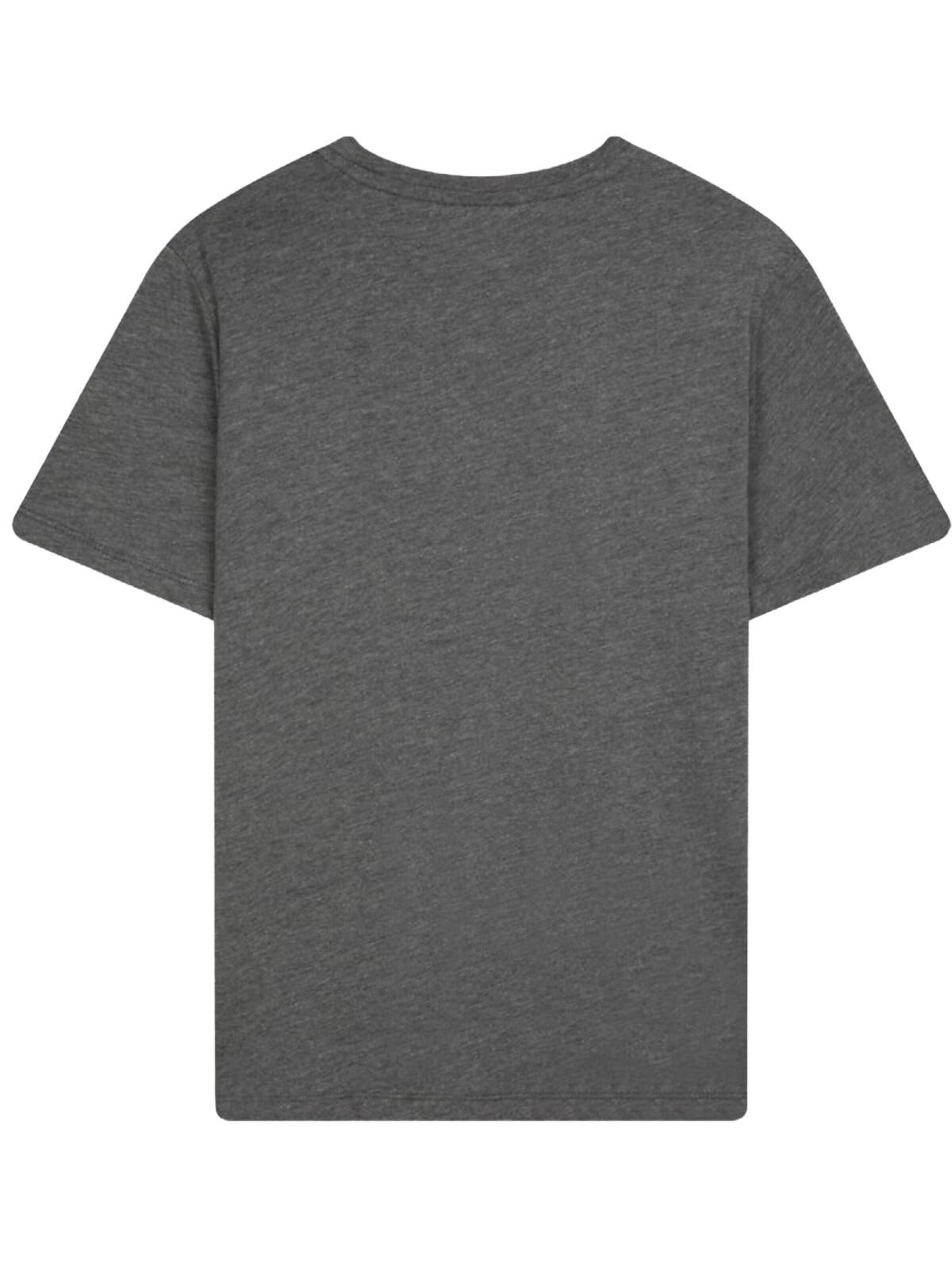 LTB Jeans Shirt in Grijs