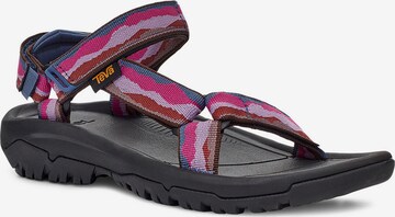 TEVA Trekkingsandale in Pink