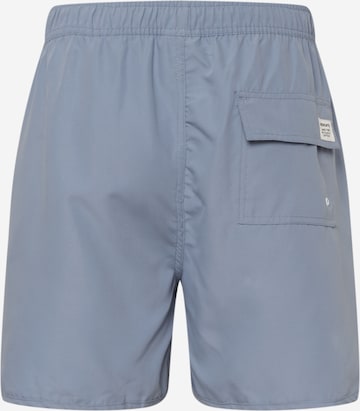 DEDICATED. Swimming shorts in Grey